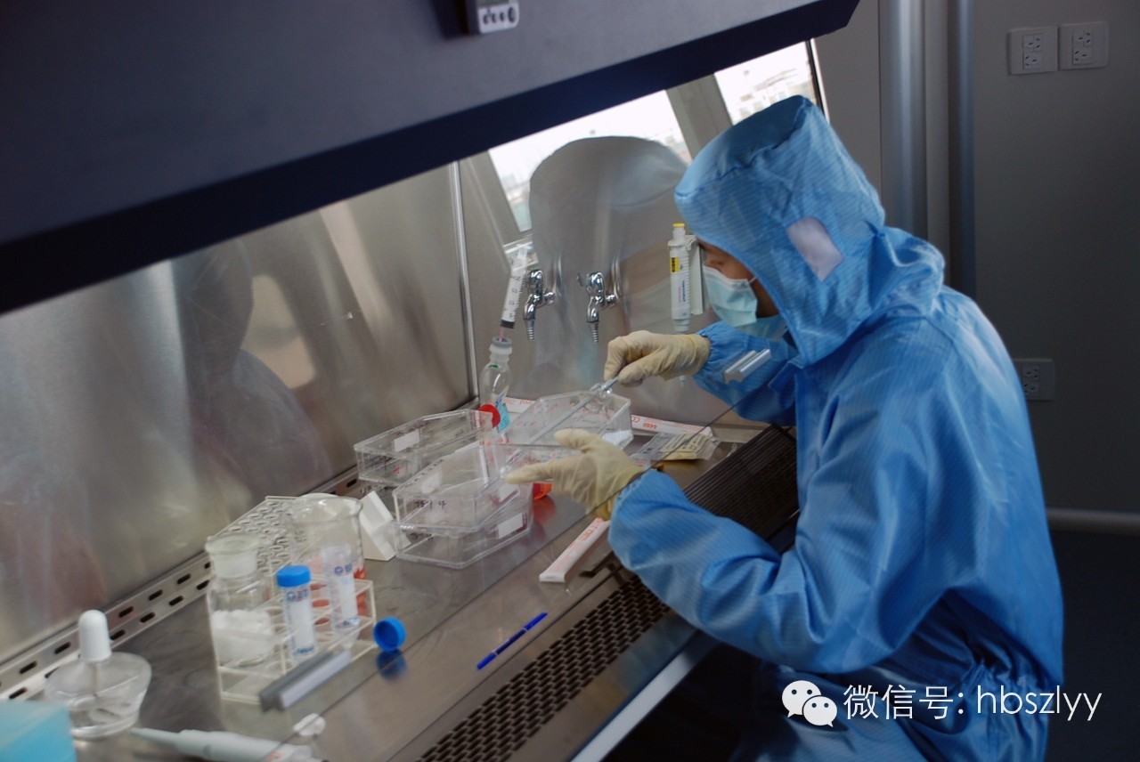 揭秘记者亲感：血液中“星星之火”如何体外培养成抗癌主力