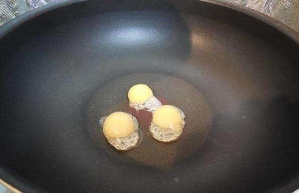 宠物龟生蛋了,宠物龟意外死亡如何处理