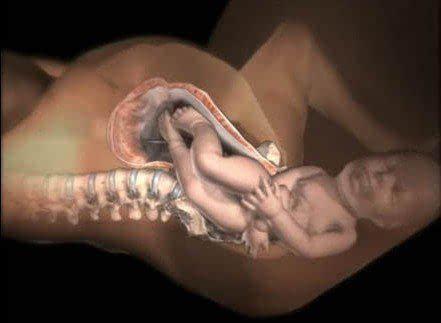 3d演示孕妇腹中胎儿,孕妇生孩子3d模拟