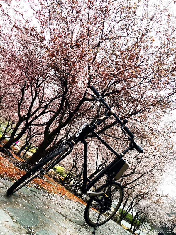 春风十里，不如“云马”载你：云马电单车C1体验