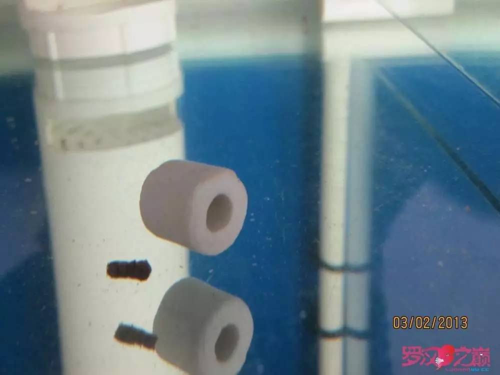 慢性肠炎的症状表现及治疗方法,慢性肠炎用中医还是西医治疗好