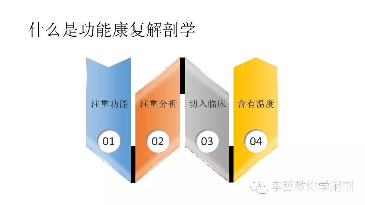 康复治疗学物理治疗,功能解剖学主要介绍什么