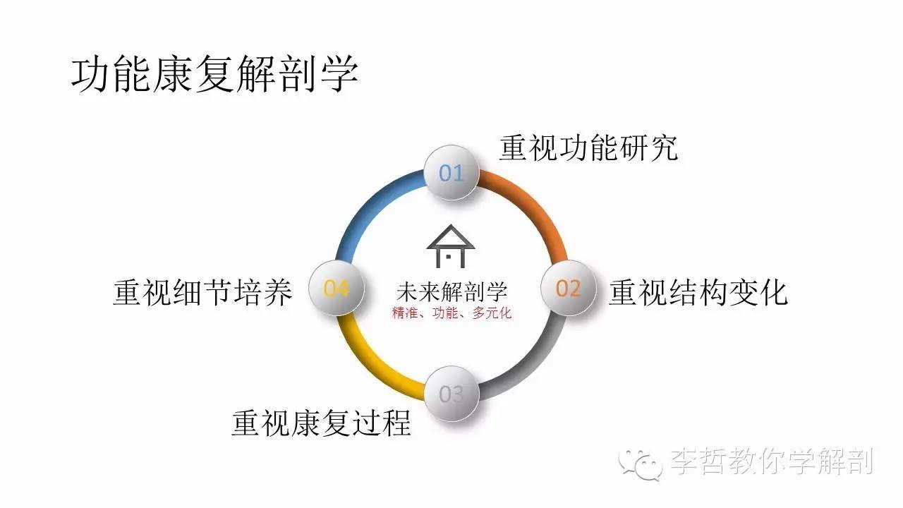 康复治疗学物理治疗,功能解剖学主要介绍什么