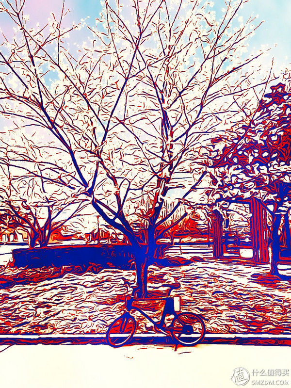 春风十里，不如“云马”载你：云马电单车C1体验