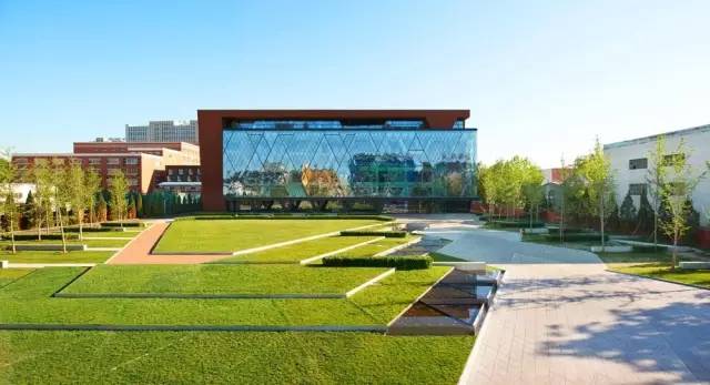 大型的景观草坪,好看的天然草坪