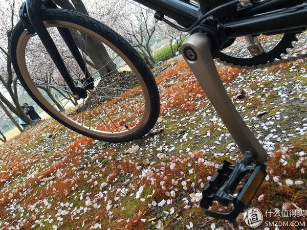 春风十里，不如“云马”载你：云马电单车C1体验