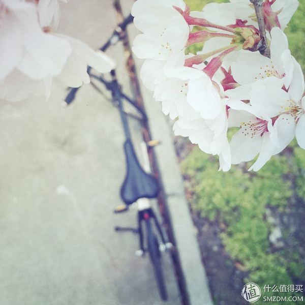 春风十里，不如“云马”载你：云马电单车C1体验