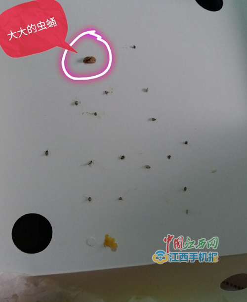 瑞可爷爷店私人订制蛋糕,瑞可爷爷抹茶蛋糕