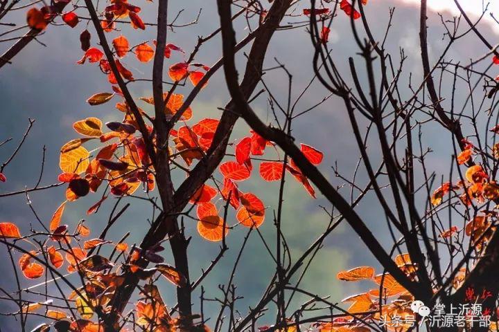 大美沂源,大美沂源历山