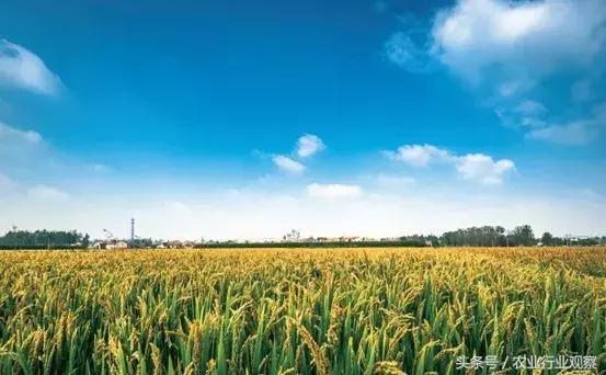 专访｜农发贷CEO杨世华：未来农村金融市场前景广阔！