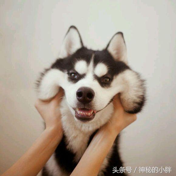 网易云热评墙NO.55