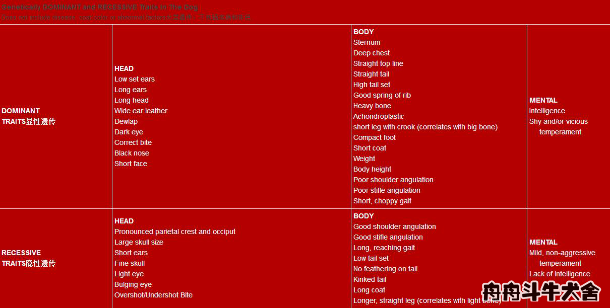 法国斗牛犬产仔后怎么养,法国斗牛犬如何受孕