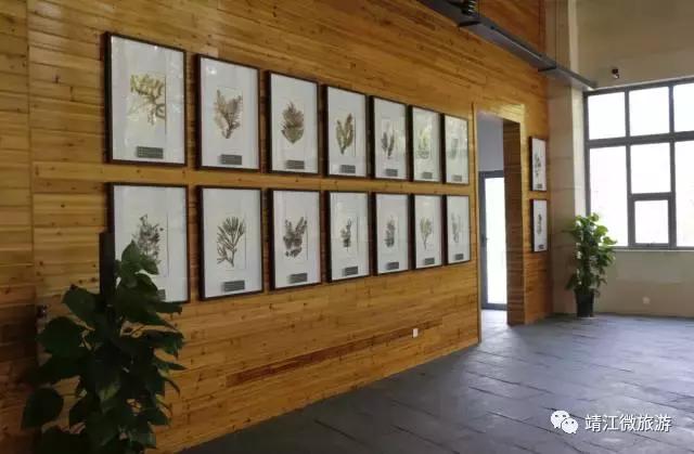 微靖江是哪个城市,江苏泰州靖江牧城公园四周风景好