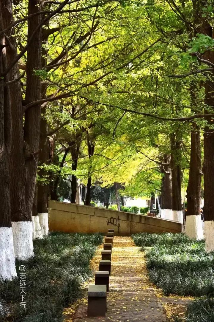 最美高校合集,最美211云大