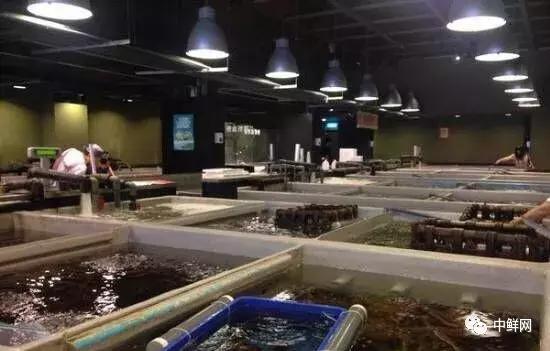 超市水产经营技巧,超市里的水产