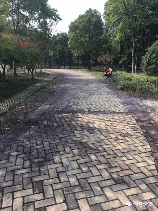 微靖江是哪个城市,江苏泰州靖江牧城公园四周风景好