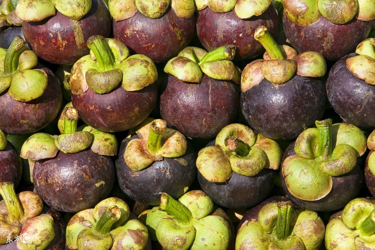 孕妇可以吃山竹吗要关注什么,孕妇可以吃山竹么