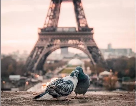 每一个女生都应该被好好对待,女人说一句对不起就行了