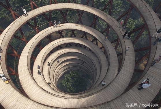 丹麦45米森林观景塔,世界十大顶级观景塔