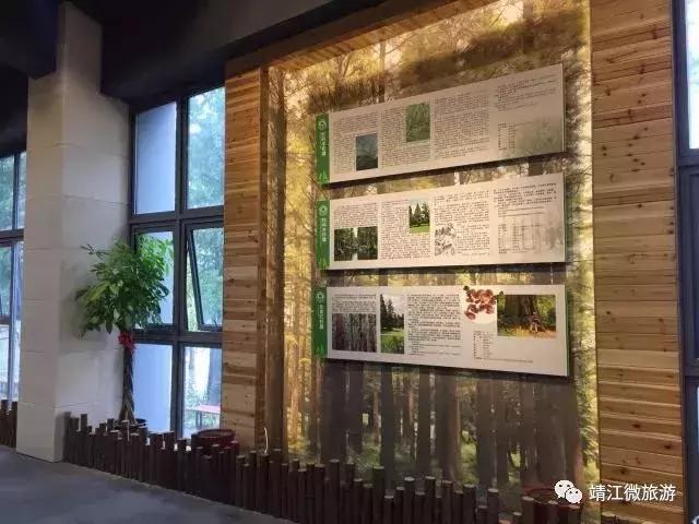 微靖江是哪个城市,江苏泰州靖江牧城公园四周风景好