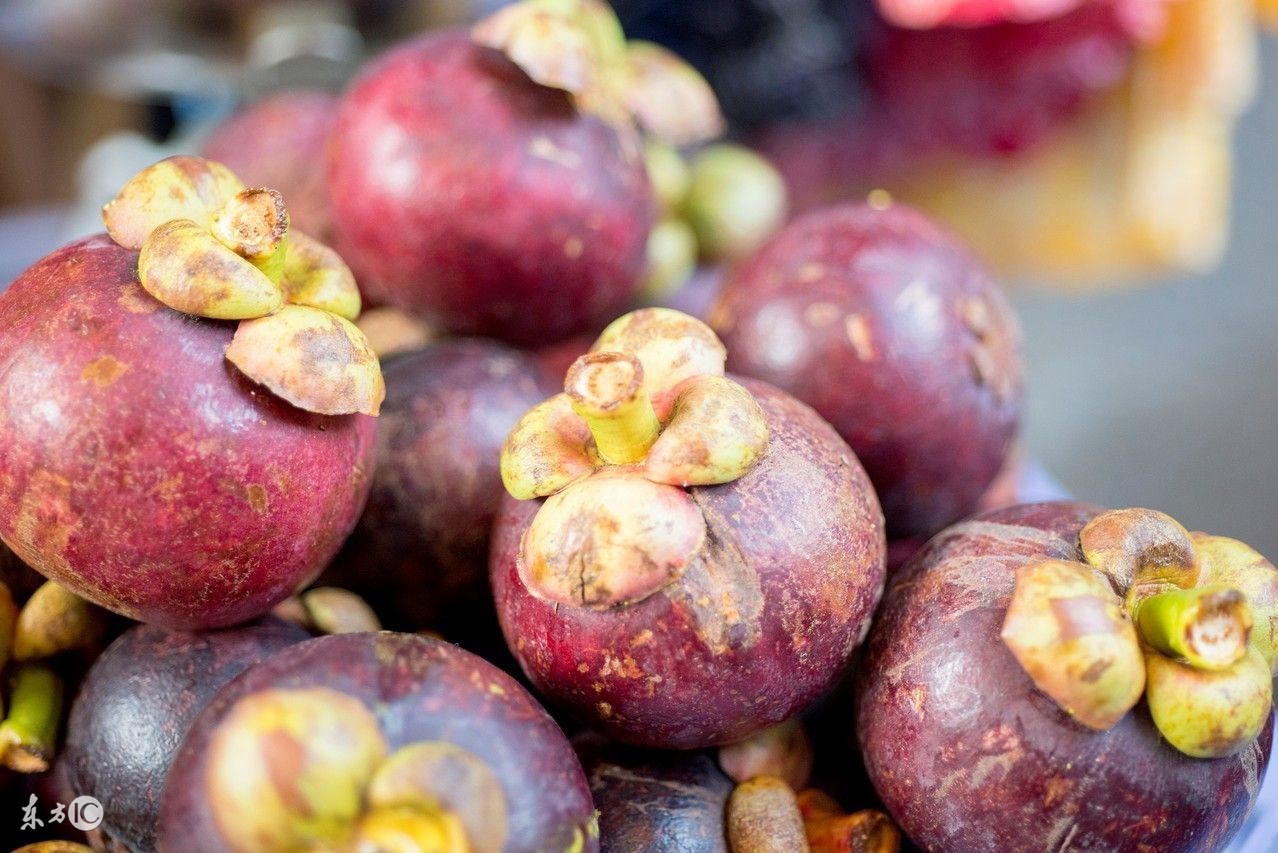 孕妇可以吃山竹吗要关注什么,孕妇可以吃山竹么