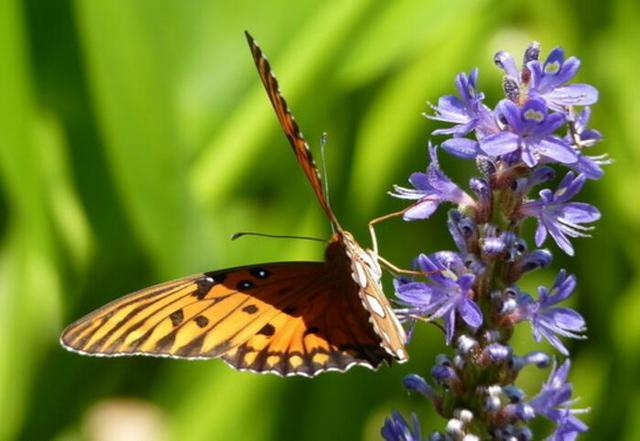 事业单位被老油条欺负怎么办,职场规则与应对方法