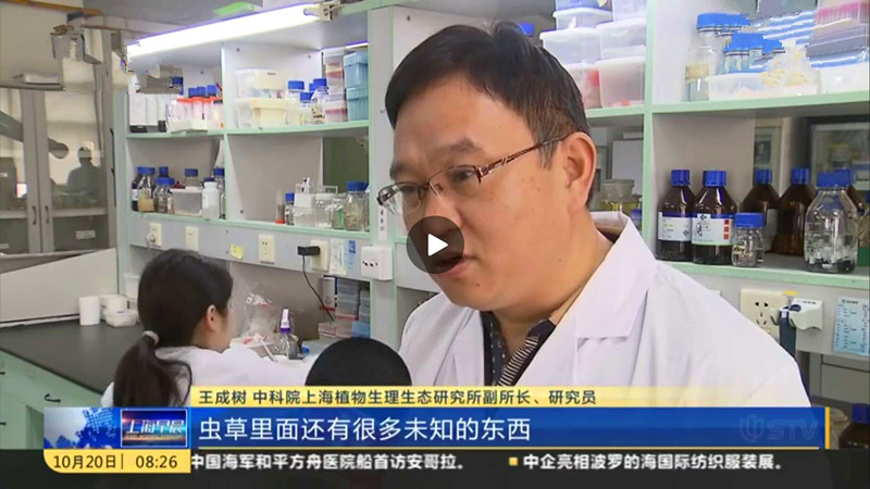 极草冬虫夏草品牌介绍,极草骗局