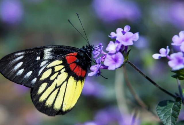 事业单位被老油条欺负怎么办,职场规则与应对方法