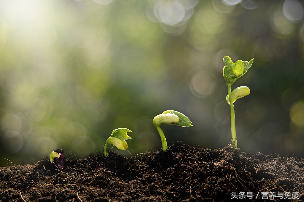 美国人癌症治愈率,美国人得了癌症怎么治