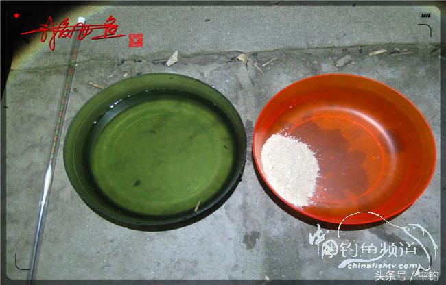 鱼口稀什么意思,鱼口又轻又慢