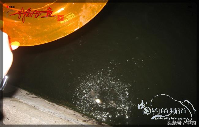 鱼口稀什么意思,鱼口又轻又慢