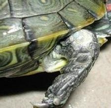 总结一些小病的治疗方法