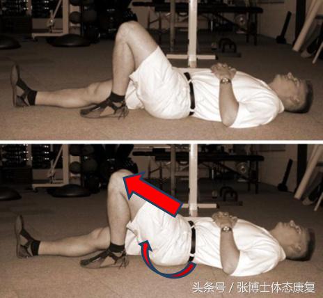 姿态训练中有哪些方法和技巧,姿态训练动作