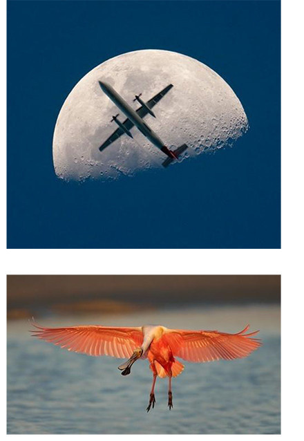 最简单的摄影知识,基本构图摄影技巧