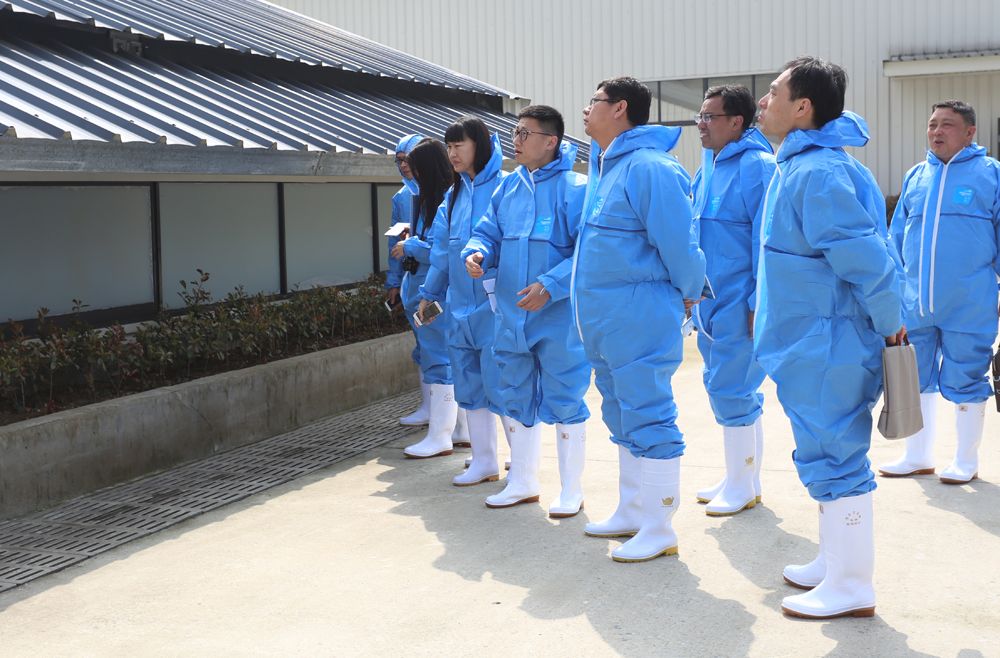 仔猪腹泻原因分析及应对方法,仔猪冬季腹泻最快解决方法