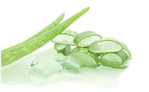 你是否只知道芦荟能美容,请问芦荟有什么功效