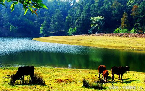 云南省临沧市云县公司,云南省临沧市云县幸福镇