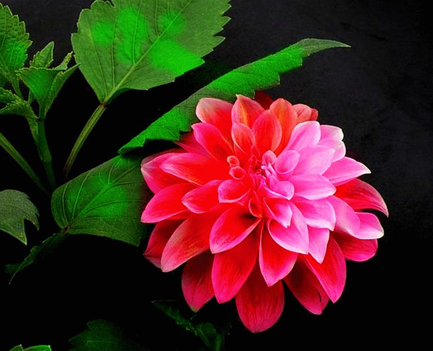 心累睡不着图片,心累睡不着完整版