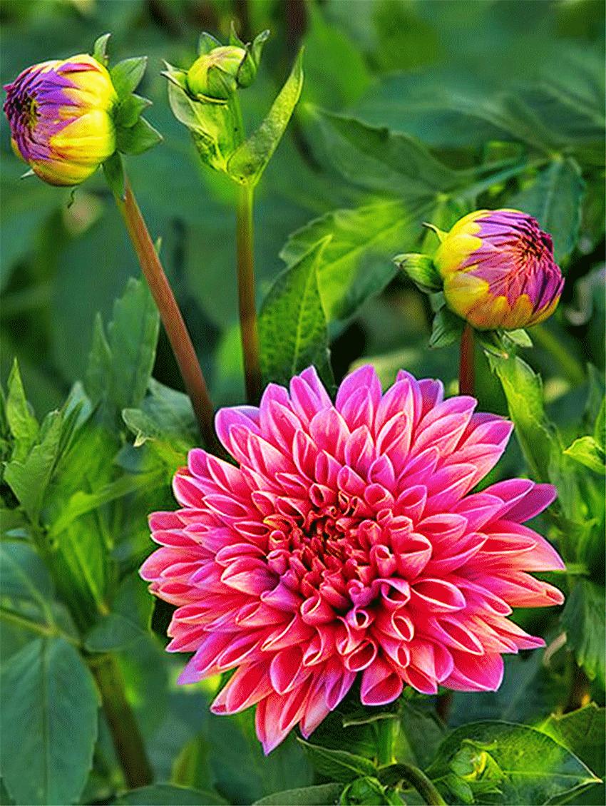 心累睡不着图片,心累睡不着完整版