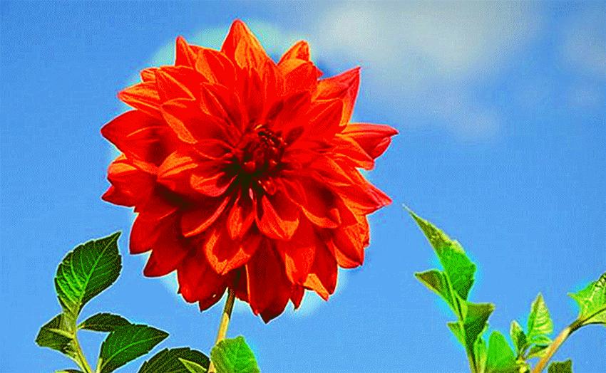 心累睡不着图片,心累睡不着完整版