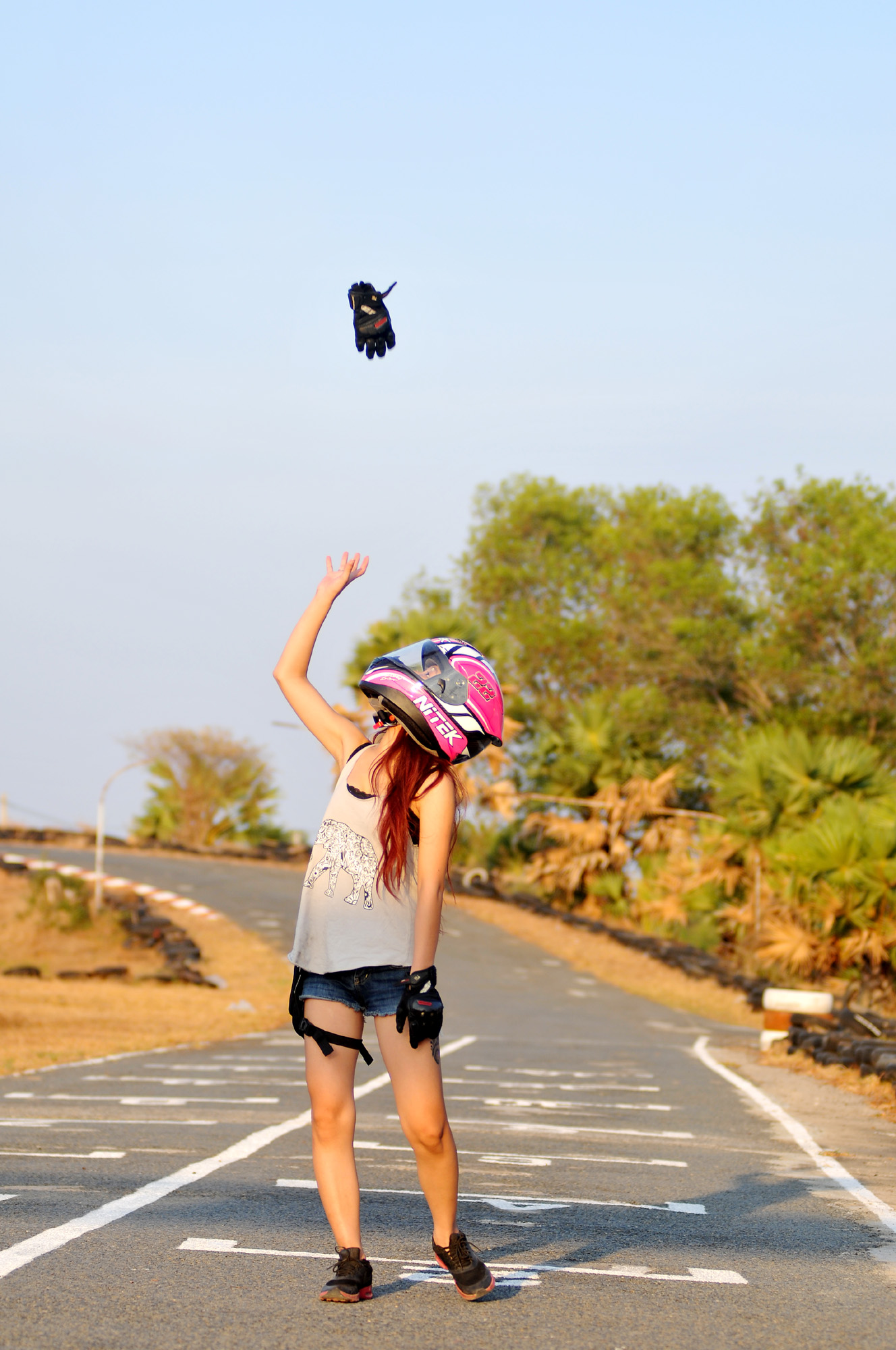 nitek璺戦瀷,nitek鏈敯