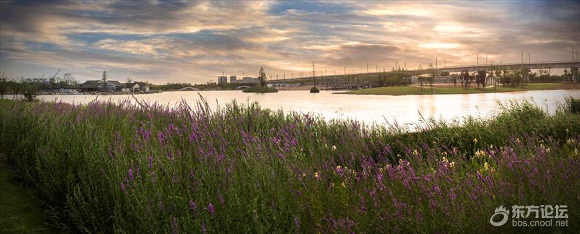 宁波秋天风景好的地方推荐,宁波秋天哪里有花海