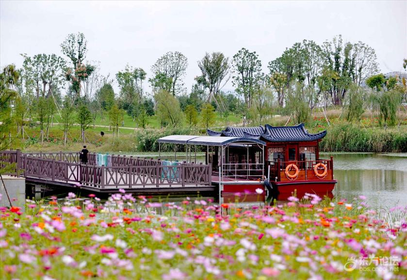 宁波秋天风景好的地方推荐,宁波秋天哪里有花海
