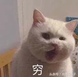 不吃土也能拥有大牌质感,不吃土也可以买到什么