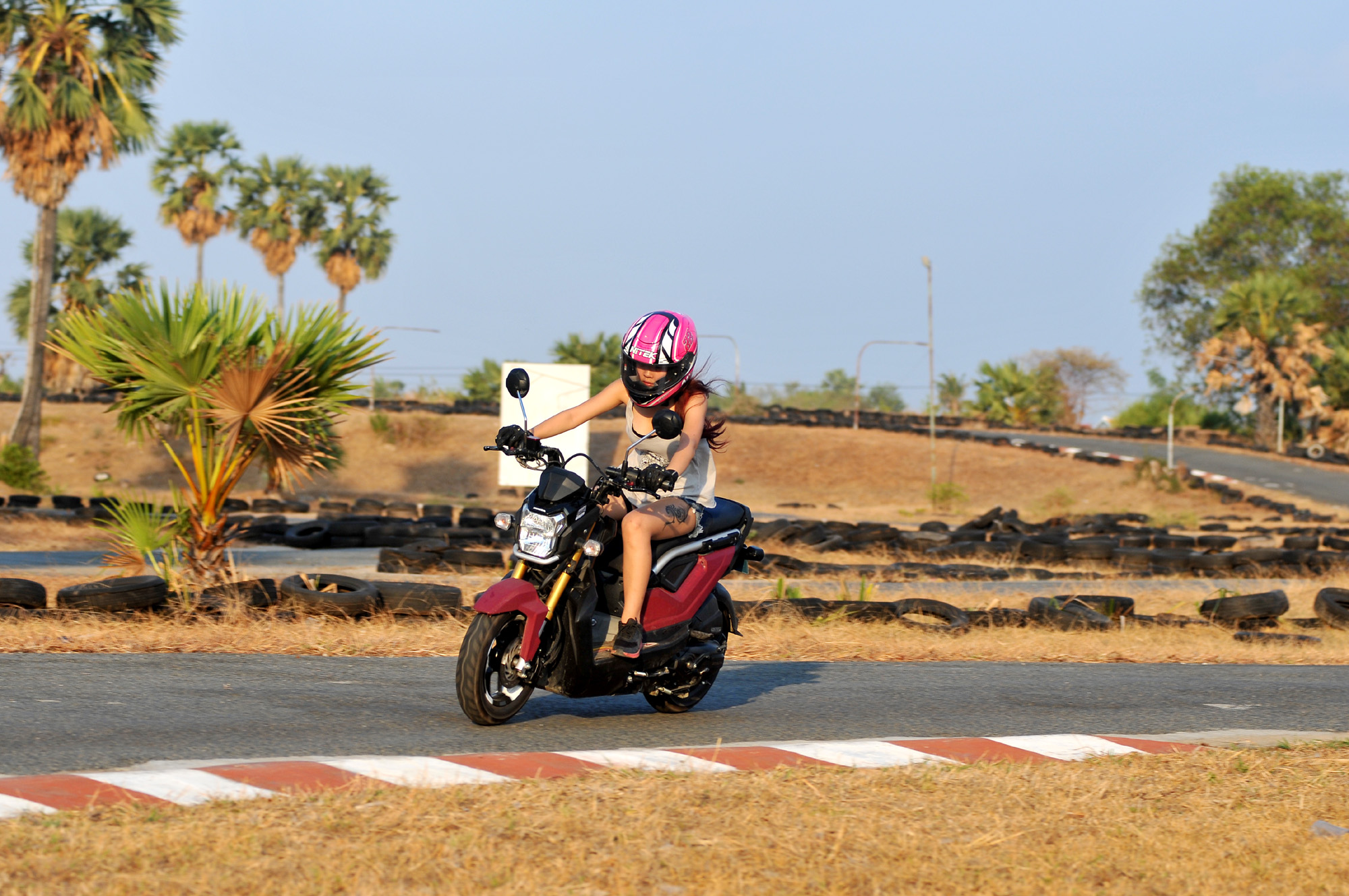 nitek璺戦瀷,nitek鏈敯