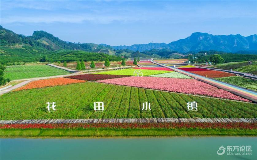 宁波秋天风景好的地方推荐,宁波秋天哪里有花海