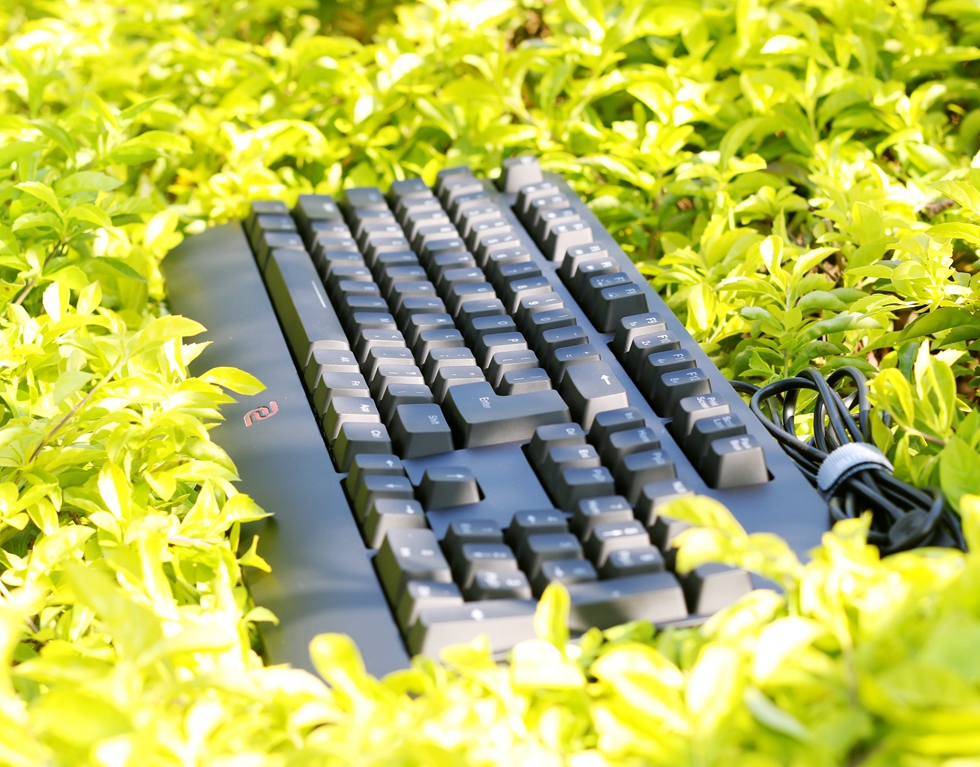 这个键盘头有些铁—ZOWIECELERITASII机械键盘