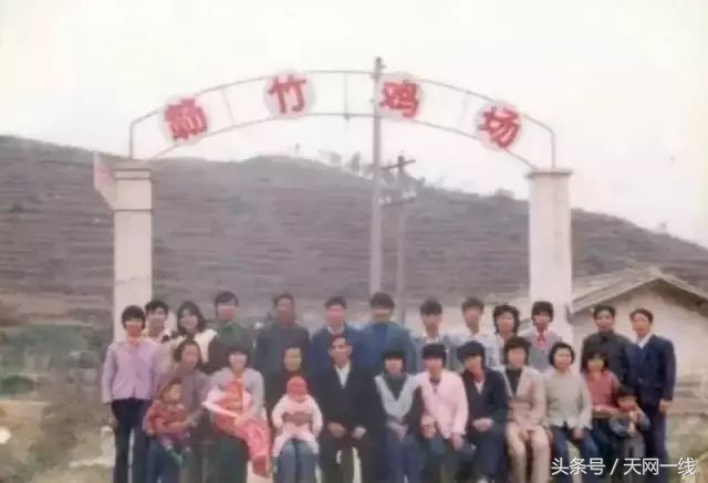 温氏股份股票排行,温氏股份怎么上创业板