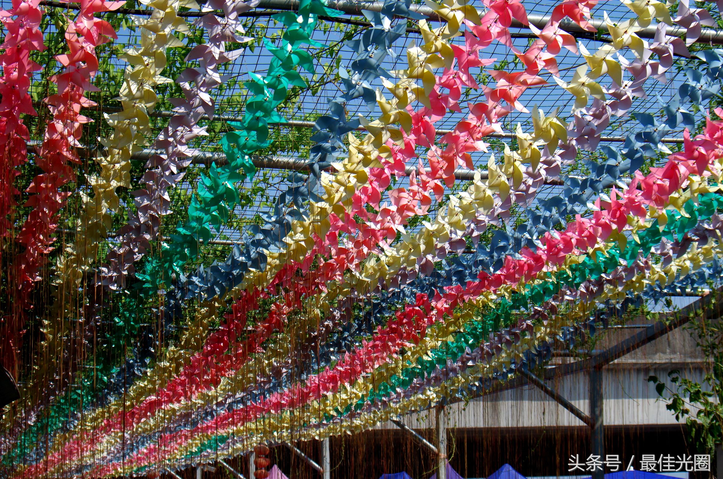 东涌绿道长廊有水玩吗,东涌绿道在哪里