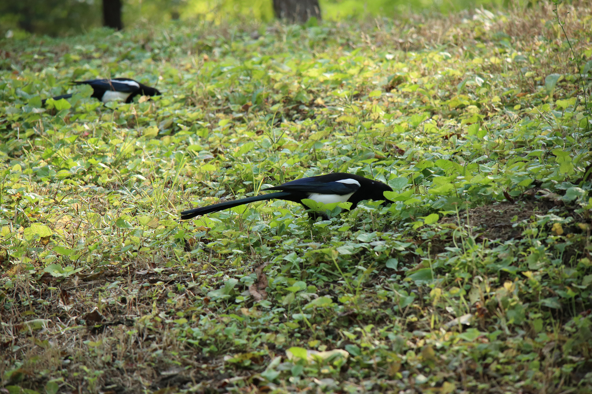 佳能eosm6二代拍照指南,佳能m6二代拍摄作品欣赏